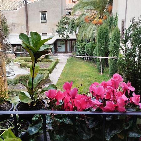 Ottantotto Viterbo Bed & Breakfast Ngoại thất bức ảnh